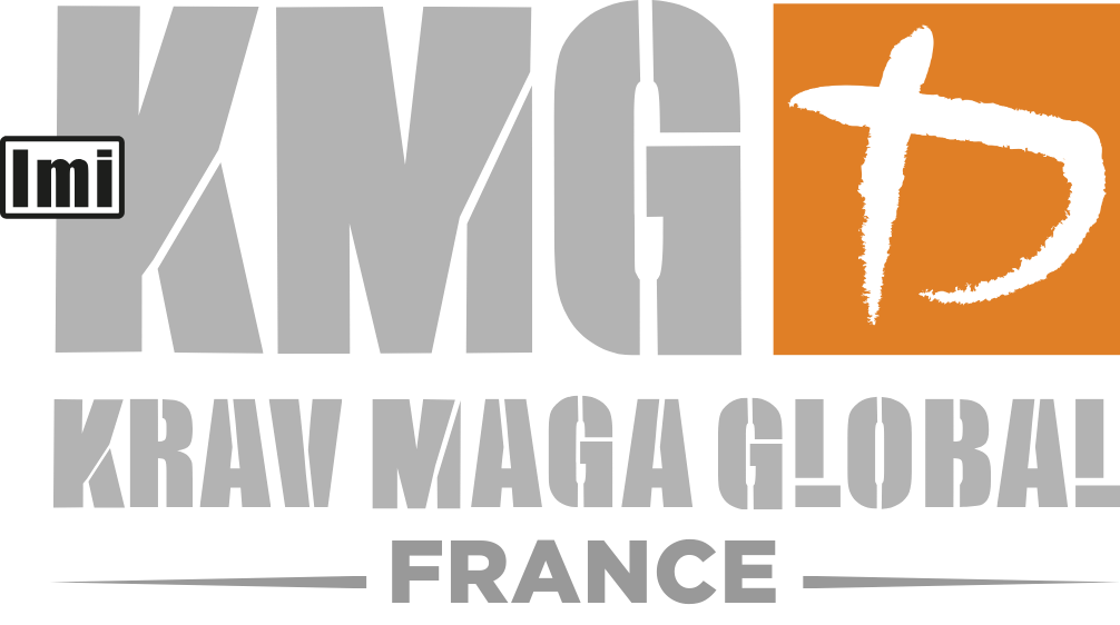 LOGO GRIS KMG FRANCE
